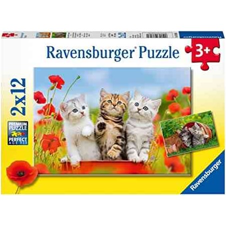 PUZZLES 2X12 P - LA DECOUVERTE DES CHATS