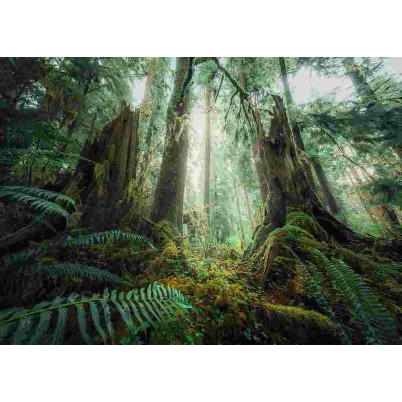 PUZZLE 1000 PIECES - EN FORET