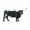 VACHE TEXAS LONGHORN