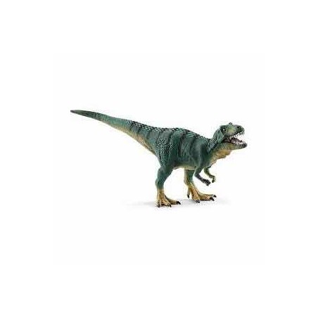 JEUNE TYRANNOSAURE REX