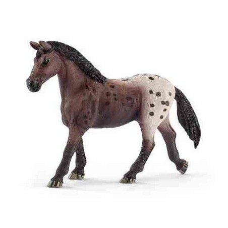 JUMENT APPALOOSA