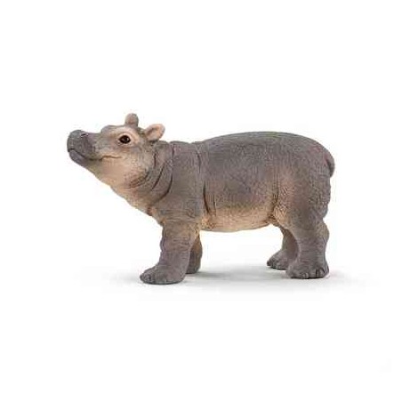 JEUNE HIPPOPOTAME