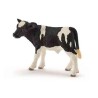 VEAU HOLSTEIN