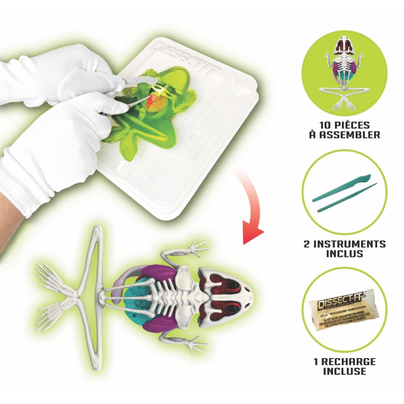 MEGA KIT DISSECTION GRENOUILLE