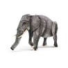 MAQUETTE 3D - LA JUNGLE UNE BIODIVERSITE EXTRAORDINAIRE L ELEPHANT 3D