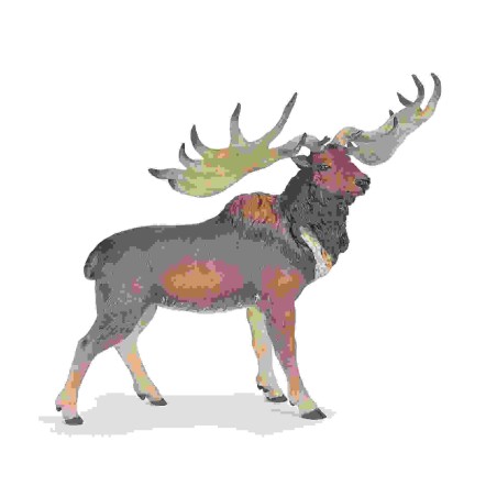 MEGALOCEROS