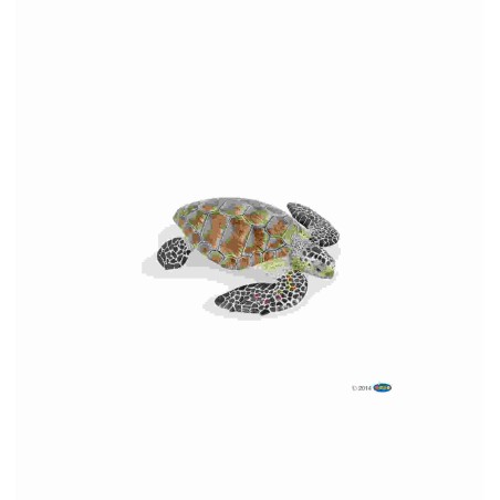 TORTUE CAOUANNE