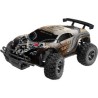 RC CAR DESERT RAT