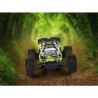 RC TRUGGY POWER DRAGON