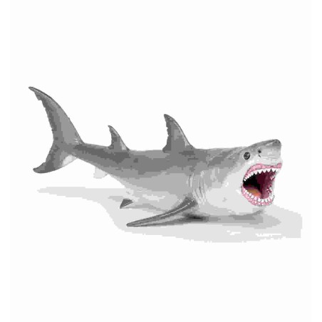 MEGALODON