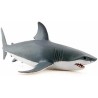 REQUIN BLANC