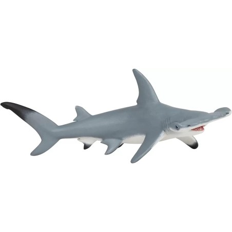 REQUIN MARTEAU