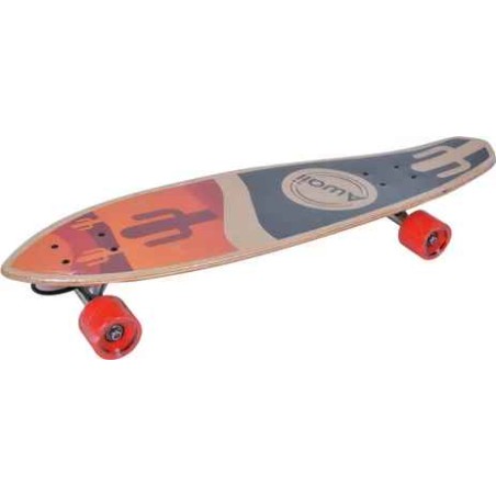 LONGBOARD 32 AWAII DESIGN CACTUS