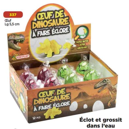 OEUF DE DINOSAURE A FAIRE ECLORE PETIT ASST