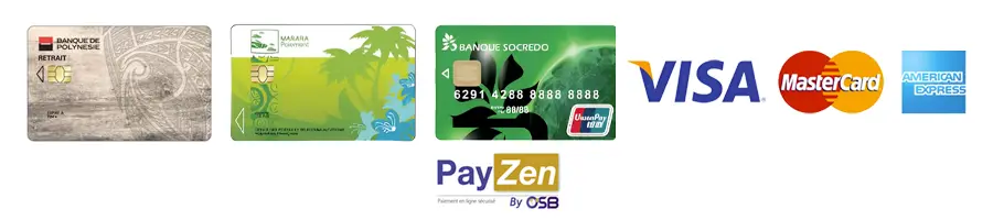 Image montrant différentes cartes bancaires des banques de polynésie, ainsi que les logos des options de paiement populaires telles que CB, Visa, MasterCard, et American Express, avec le logo "PayZen" indiquant un paiement en ligne sécurisé par OSB.